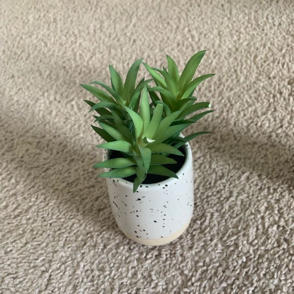 Modern Farmhouse Spring Decor Lot - Picture 9 of 9